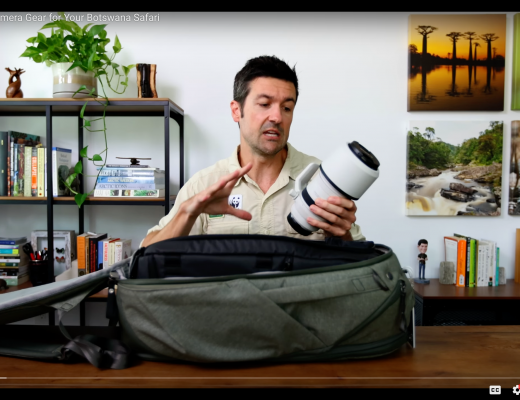 Court Whelan describes the ideal photo gear for a Botswana safari